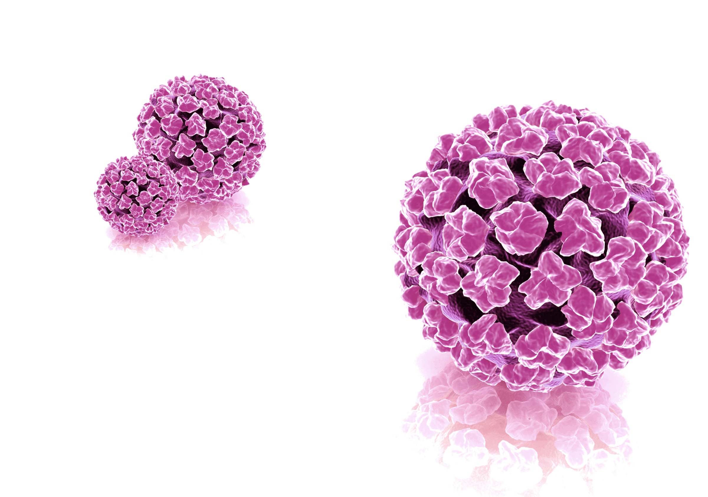 Infectia cu virusul papiloma uman (HPV) | nucleus-mc.ro